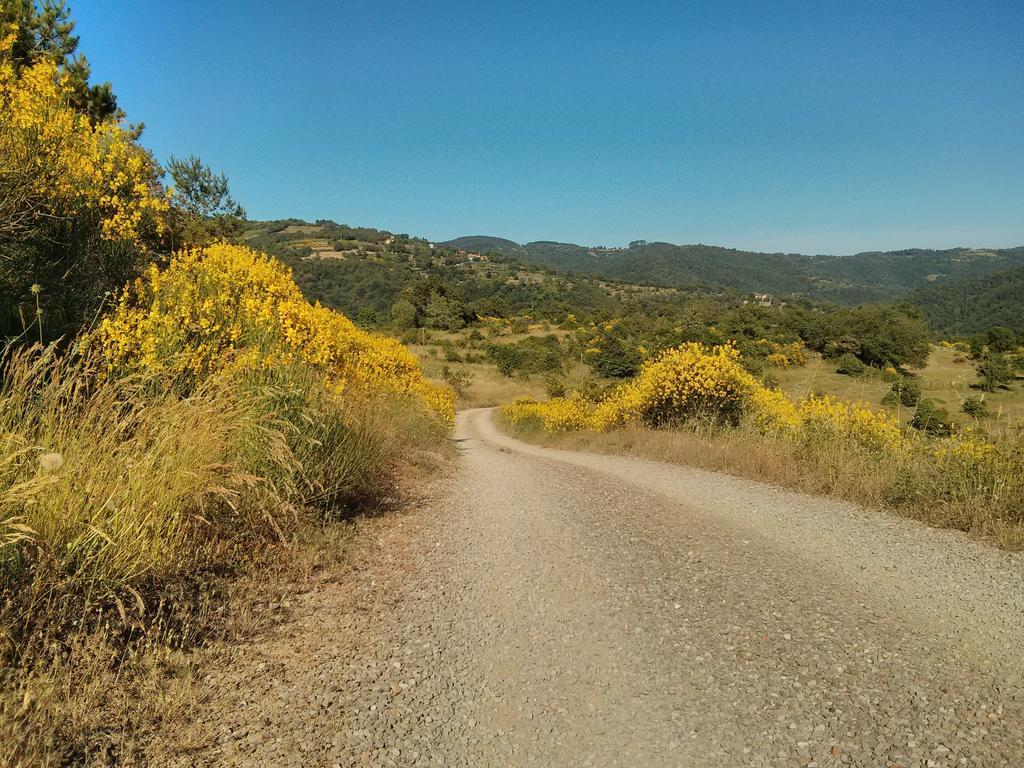 Forte Di Tregognano Chiaveretto Camera foto